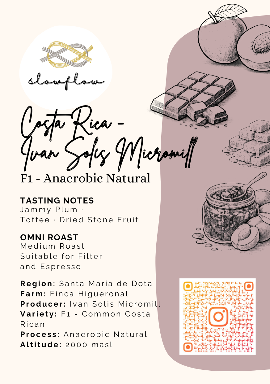Costa Rica Ivan Solis Micromill
