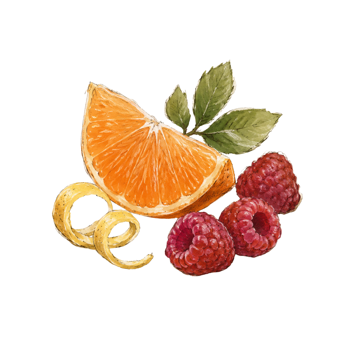 Watercolor illustration of a citrus slice with green leaves, a curled peel, and three raspberries on a plain white background.