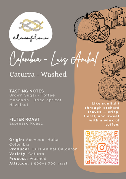 Luis Anibal - Colombia - Caturra Washed — Espresso Roast