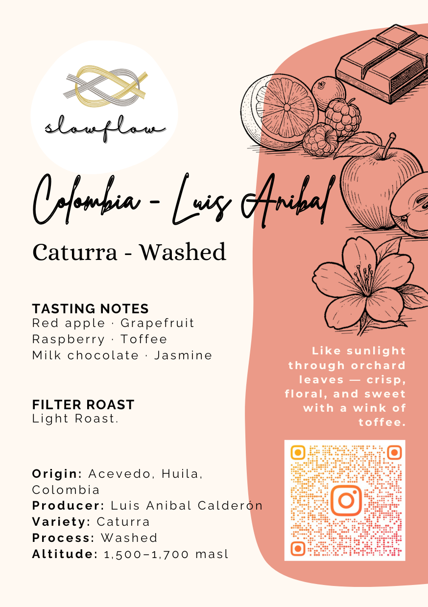 Luis Anibal - Colombia - Caturra Washed