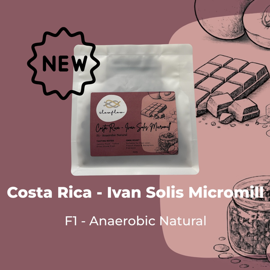 Costa Rica Ivan Solis Micromill - Anaerobic Natural