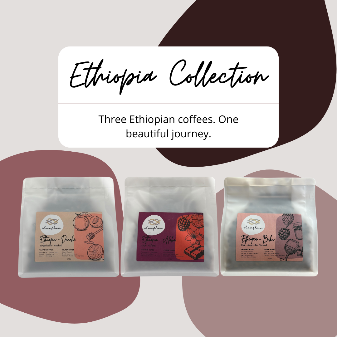 Ethiopian Collection