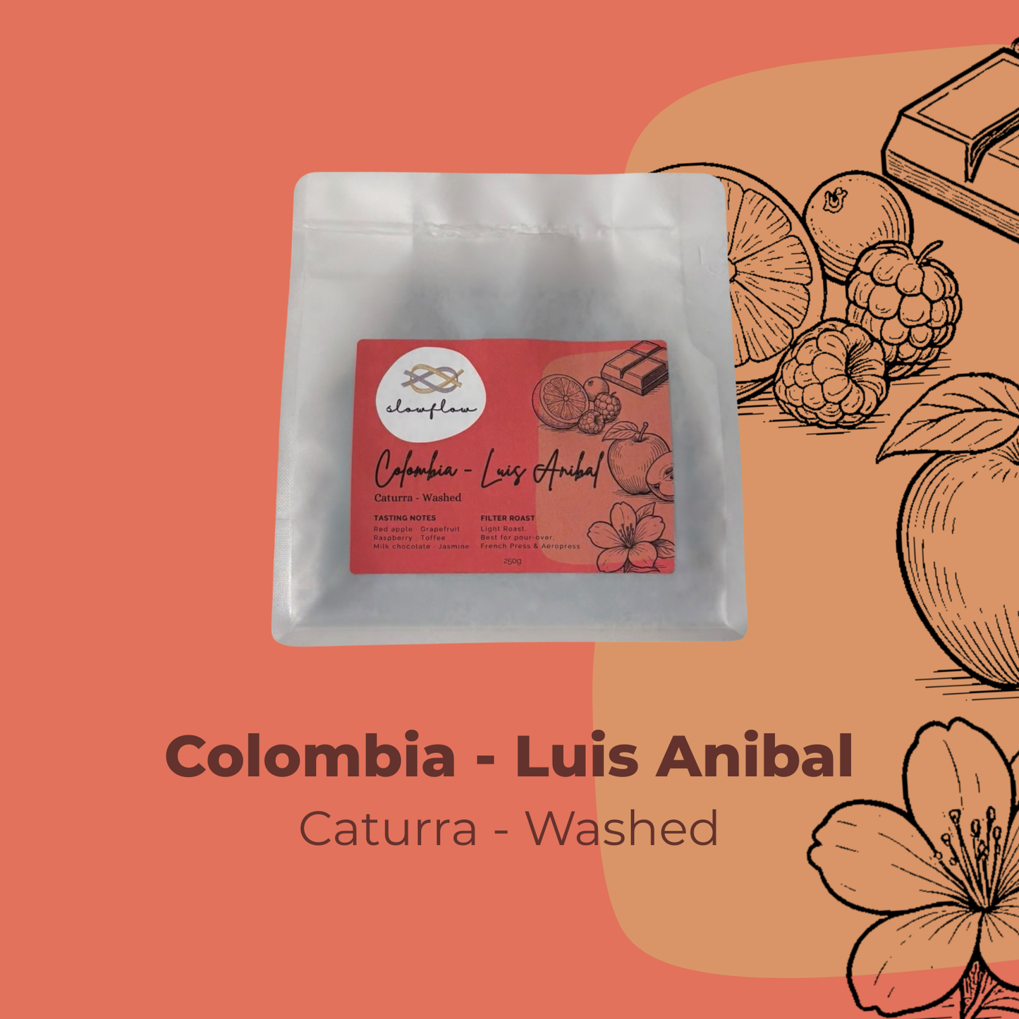 Luis Anibal - Colombia - Caturra Washed